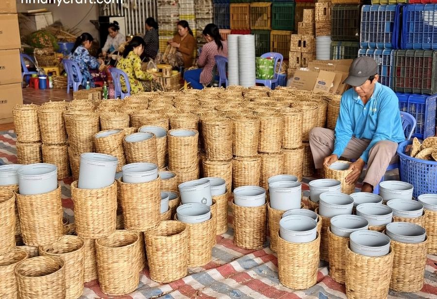 Women weaving water hyacinth baskets, Đồng Tháp
